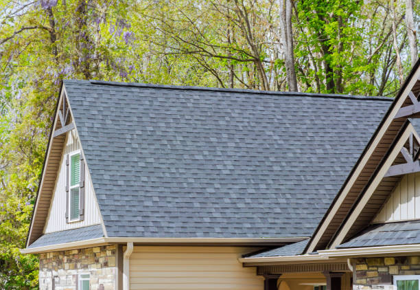 Best Roof Moss and Algae Removal  in Ellis, KS